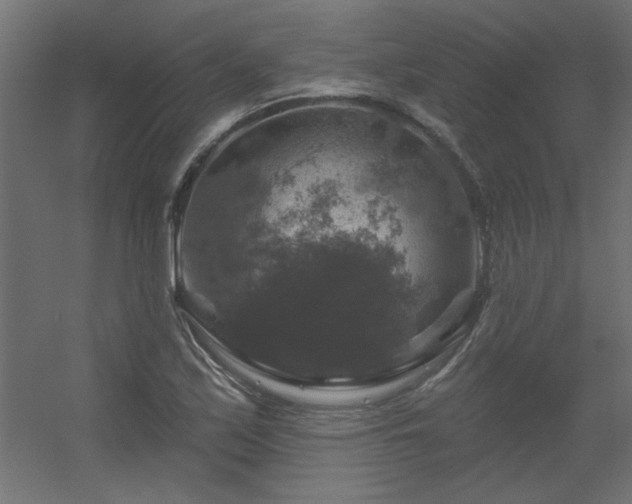 X0000056331171200509021621