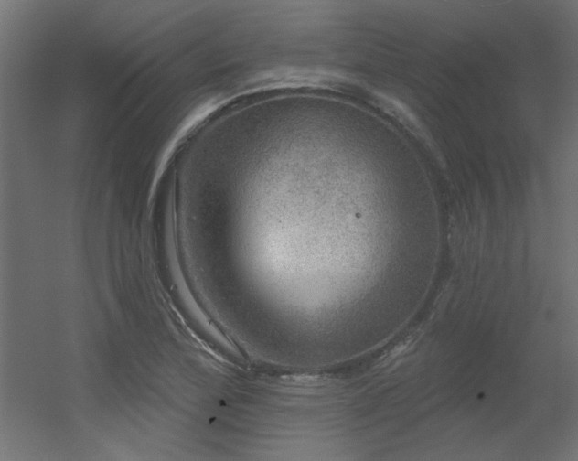 X0000056331172200509021621