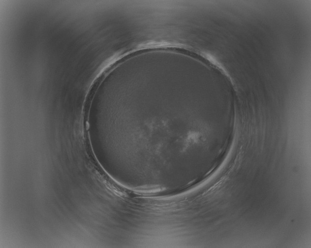 X0000056331173200509021621