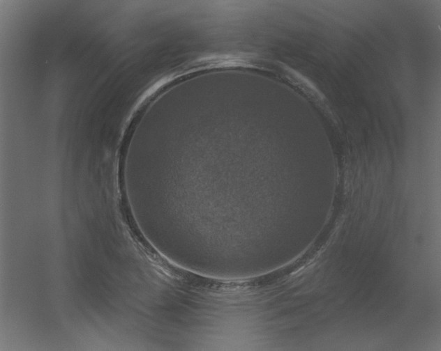 X0000056331174200509021621