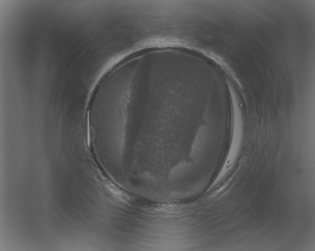 X0000056331175200509021621