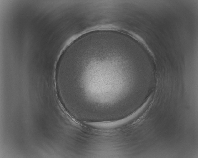 X0000056331176200509021621