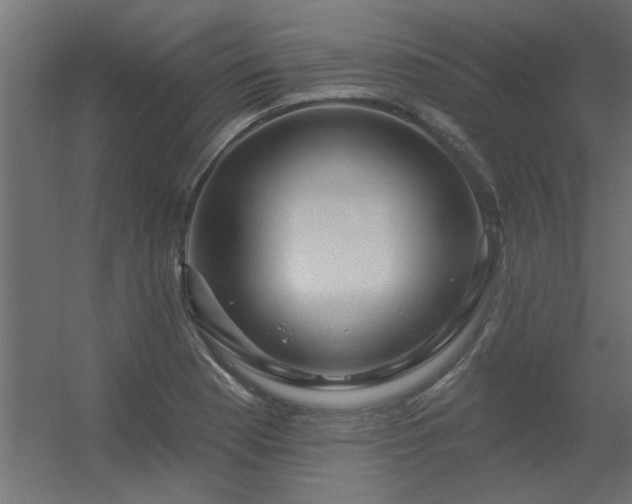 X0000056331177200509021621