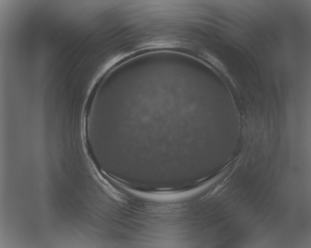 X0000056331179200509021621