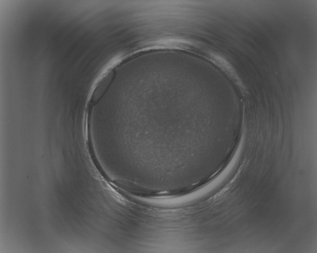 X0000056331180200509021621