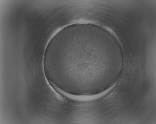 X0000056331183200509021621