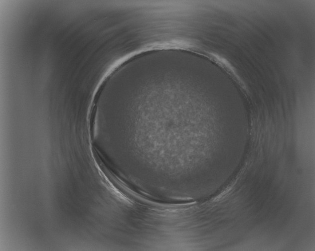 X0000056331184200509021621