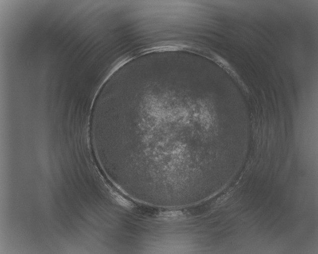 X0000056331186200509021621