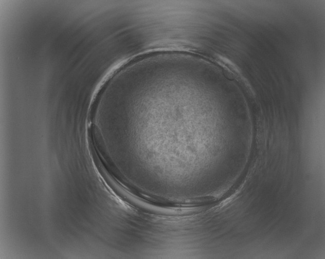 X0000056331188200509021621