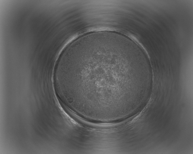 X0000056331189200509021621