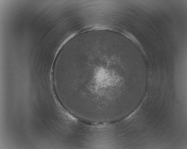 X0000056331190200509021621