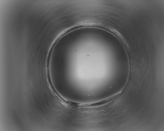 X0000056331191200509021621