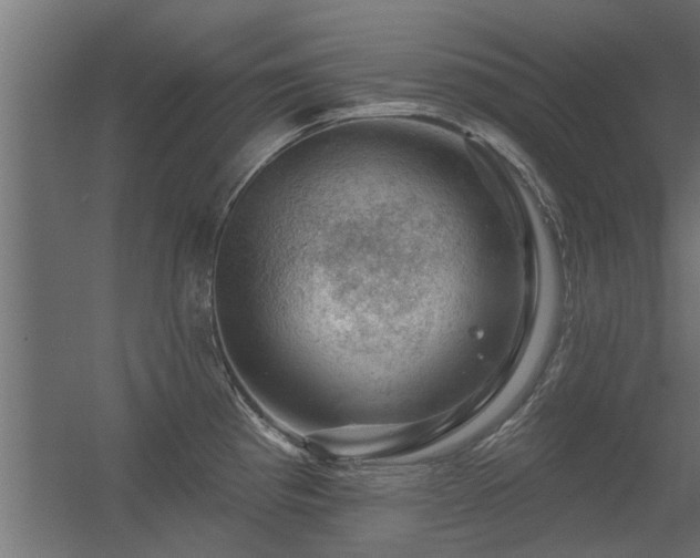 X0000056331193200509021621