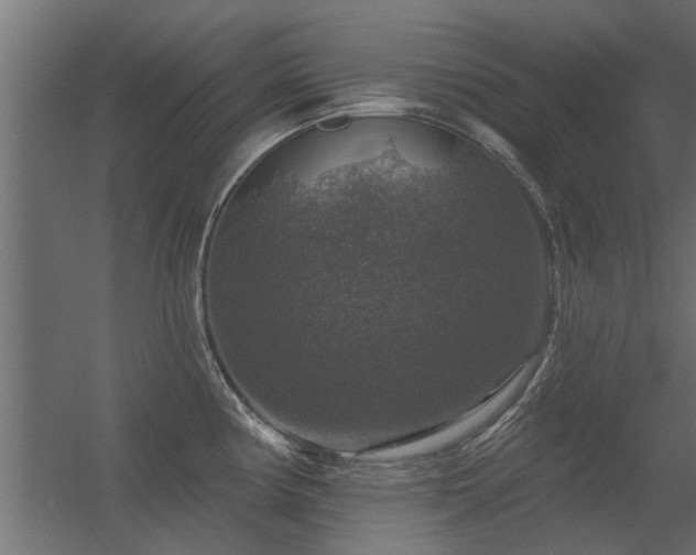 X0000056331194200509021621