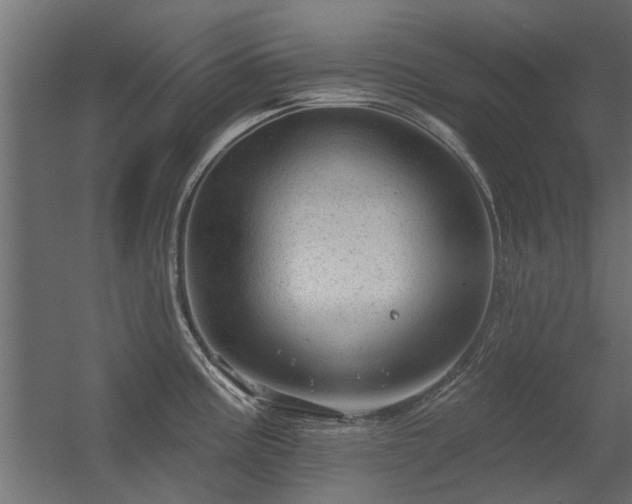 X0000056331195200509021621