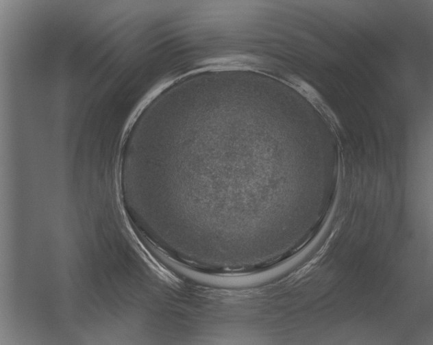 X0000056331196200509021621