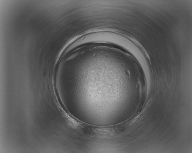 X0000056331197200509021621