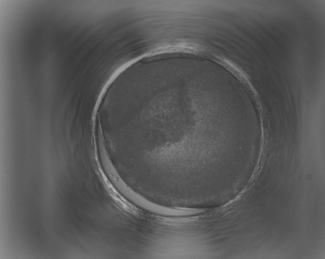 X0000056331200200509021621