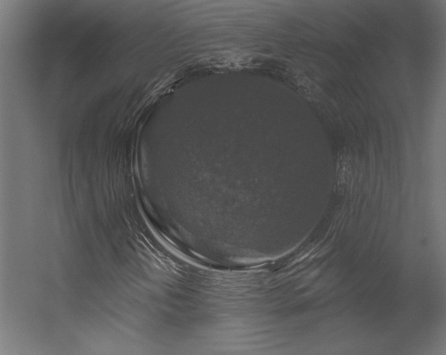 X0000056331202200509021620