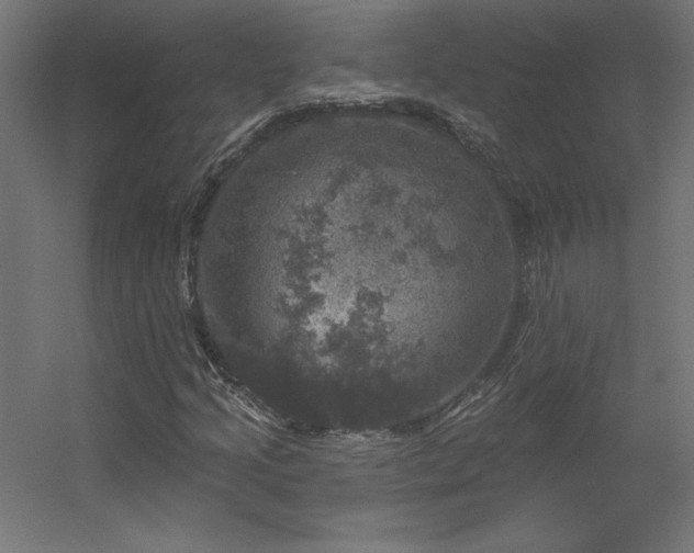 X0000056331205200509021620