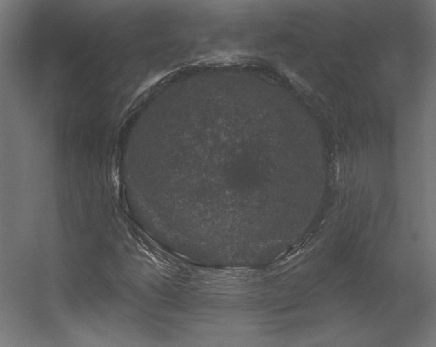 X0000056331206200509021620