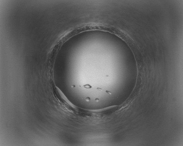 X0000056331207200509021620