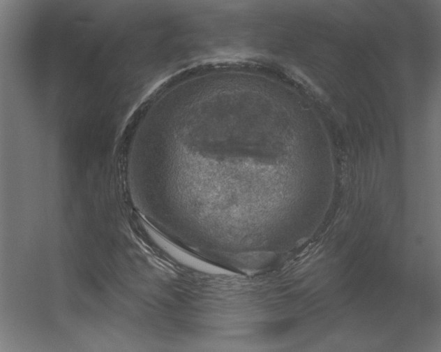 X0000056331208200509021620