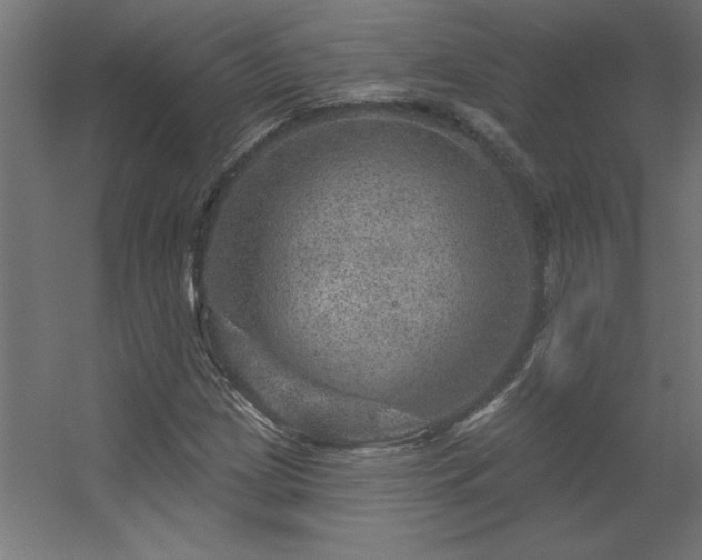 X0000056331209200509021620