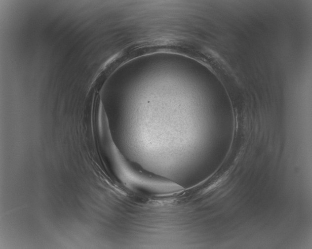 X0000056331210200509021620