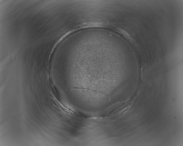 X0000056331212200509021620