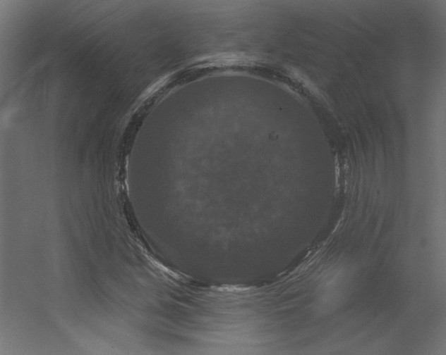 X0000056331213200509021620