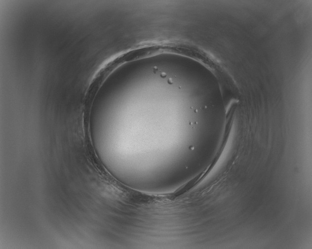 X0000056331214200509021620