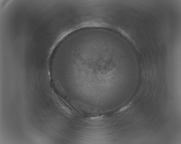 X0000056331215200509021620