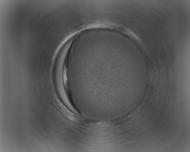 X0000056331216200509021620