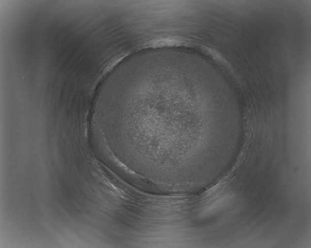 X0000056331217200509021620