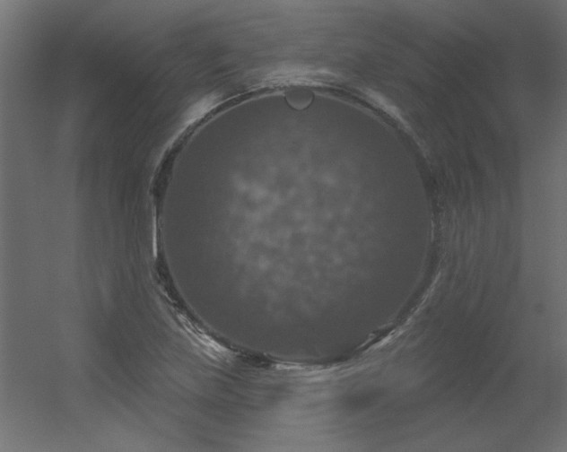 X0000056331219200509021620