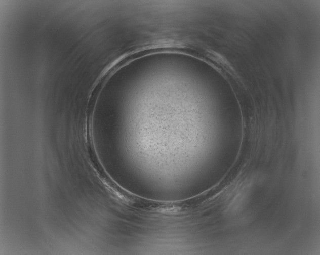 X0000056331220200509021620