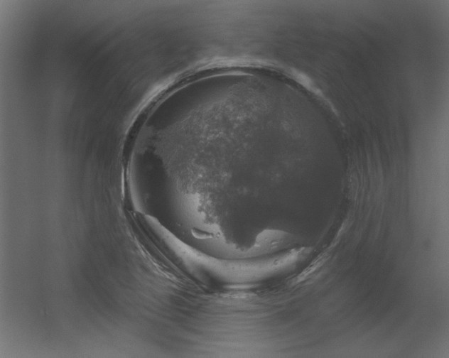 X0000056331221200509021620