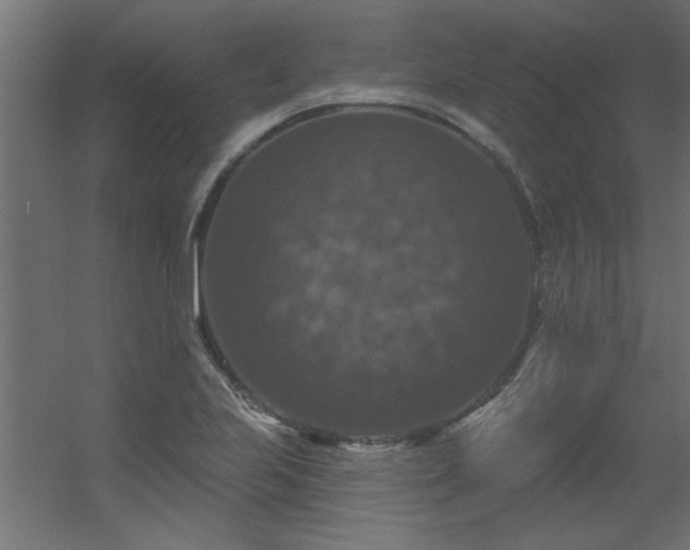 X0000056331223200509021621