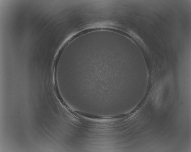 X0000056331224200509021621