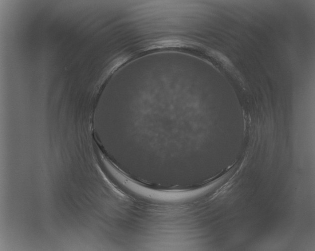 X0000056331225200509021621