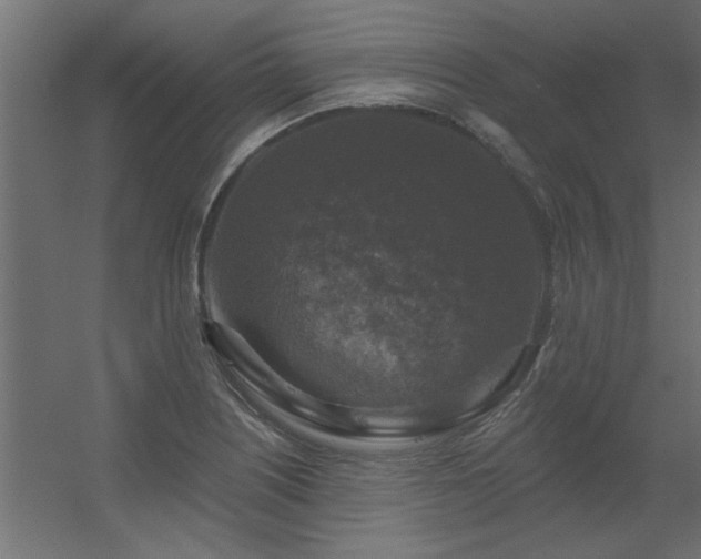 X0000056331226200509021621