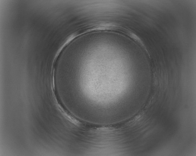 X0000056331227200509021621