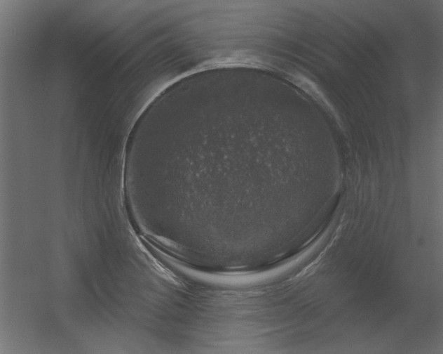 X0000056331228200509021621