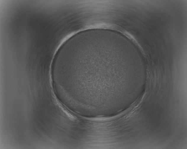 X0000056331230200509021621