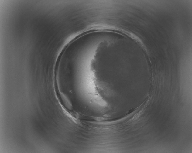 X0000056331231200509021621