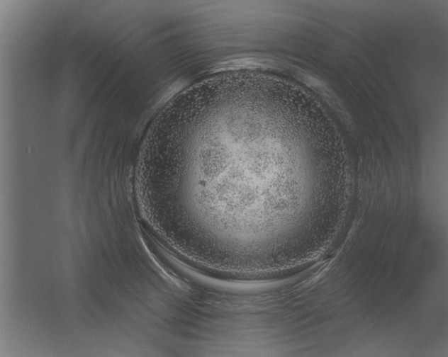 X0000056331233200509021621