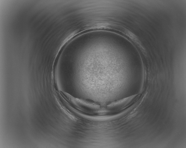 X0000056331234200509021621