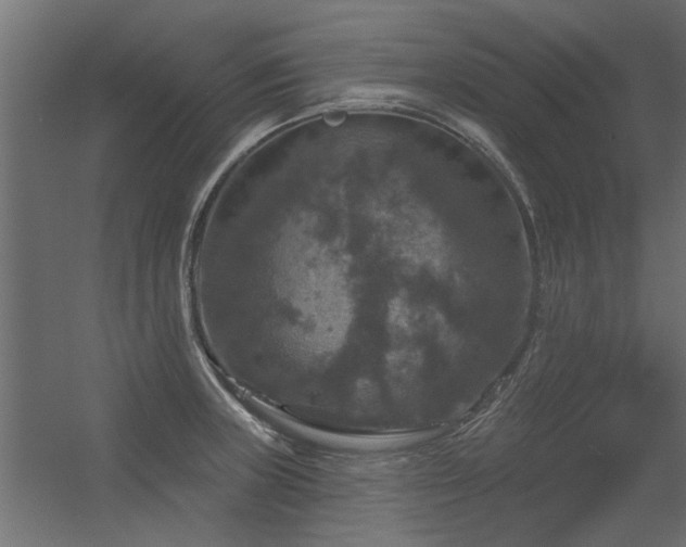 X0000056331235200509021621