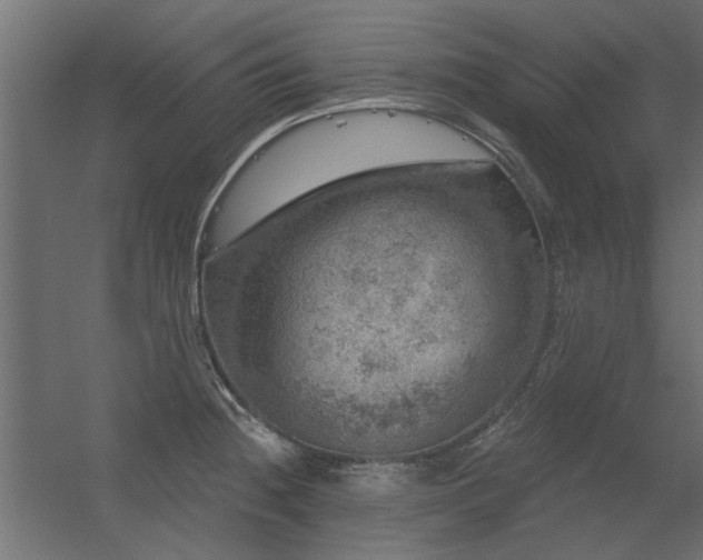 X0000056331236200509021621